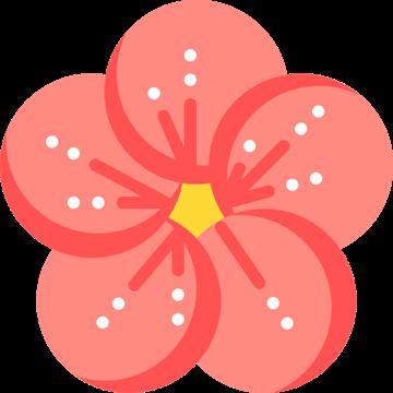 Cinebloom APK