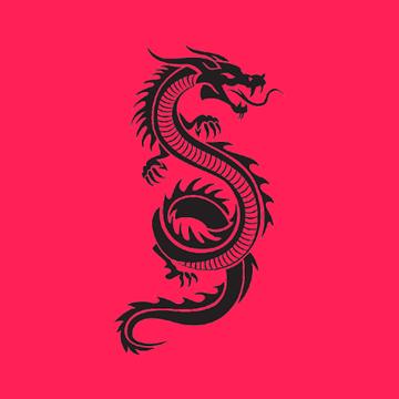 Dragon Store APK